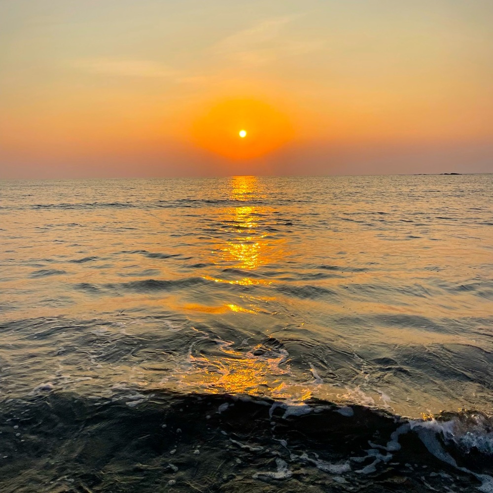 Meet your Posher, Aayushi